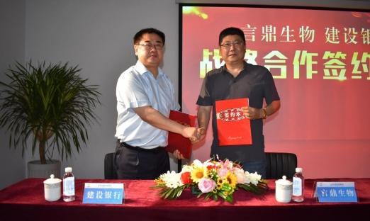 今日头条 数字山东：清风徐来，花自盛开——强强联合再添新伙伴