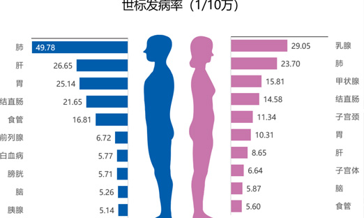 国家癌症中心：2022年全国癌症报告