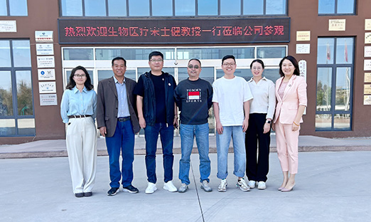 创新驱动科技，赋能产业发展