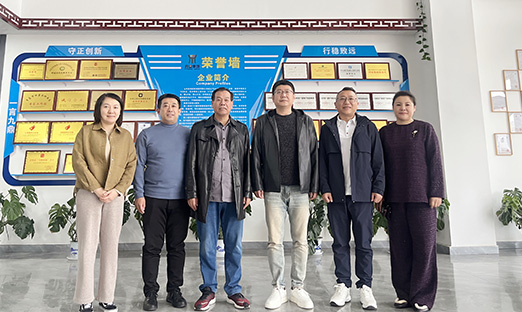 BBIN宝盈集团集团携手绿螺医疗，共探多维度合作之路