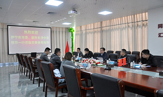 科技引领·共绘蓝图：新疆伊宁市考察团访问BBIN宝盈集团集团洽谈合作